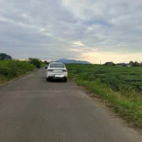 سهند S کم کار