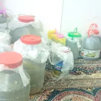 خیار شور ویژه