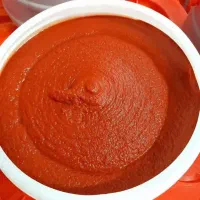 رب گوجه فرنگی ارگانیک سید