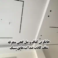 کناف(پالکس)