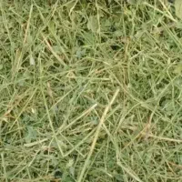 یونجه