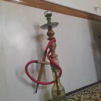 قلیون تنه گردو طعم دوسیب