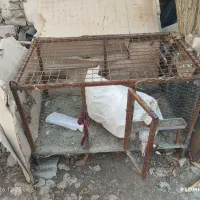 فروش دو عدد قفس