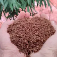 Agro peat ( اَگرو پیت ) نسل جدید بستر کشت