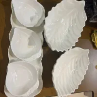 ظرف اردوو‌ خوری