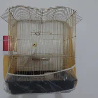 عروس هلندی