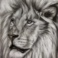 رقصِ قلم بر کاغذ، روایتِ چهره‌ی تو