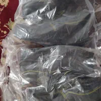 کفش ایمنی نو