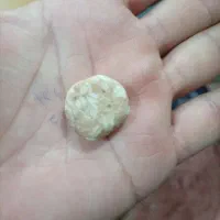 فروش سنگ فسیل گندمی ،