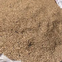 باقله|خوردنی و آشامیدنی|شوشتر, |دیوار