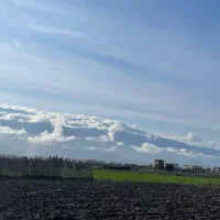 ۱۴۵مترزمین ویو جنگل ۱۲۹میلیون جاده قدیم