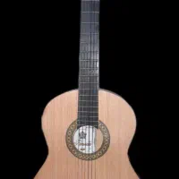 فروش گیتار سالم و نو