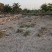 زمین-محرزی-نهر-5
