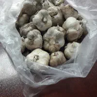سیرمحلی پر عطر اورگانیک