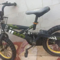 دوچرخه ۱۶ فیلیپس