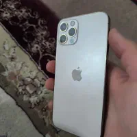 12pro