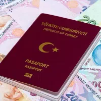مهاجرت و ویزا، تحصیلی، کار