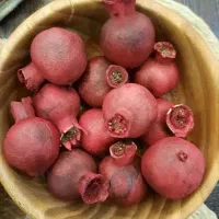 انار خشک برای تزئینات