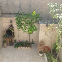 سویت شیک نوساز همکف دربست