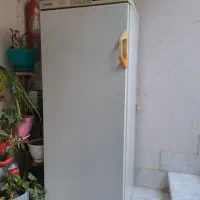 فریزر ۱۲ فوت فیلور