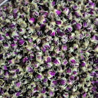 غنچه ی گل محمدی