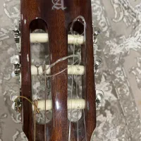 گیتار|گیتار، بیس، امپلیفایر|تهران, قیطریه|دیوار