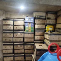 باربری ایمن بار 12سال س بسته بندی با مجوز|خدمات حمل و نقل|سنندج, |دیوار