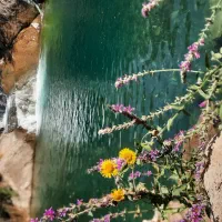 تور طبیعت گردی