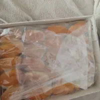 نرم تازه