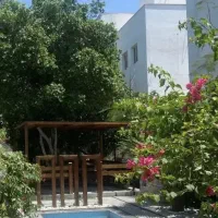83-متری-صدف-فدائی