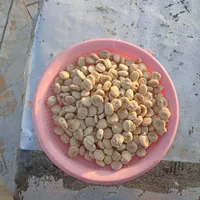 کشک روغن کره محلی تمیز باکیفیت