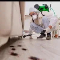 سمپاشی فوری ساس و سوسک در کرج