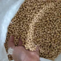 نخود بوجاری شده اعلا دشت مغان