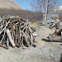 تنه گردو و ضایعات چوب