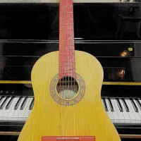 گیتار رزونانسH320