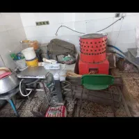 پرکن مرغ