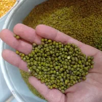 مواد غذایی|خوردنی و آشامیدنی|قم, وادی السلام|دیوار