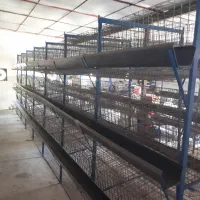 قفس مرغ تخم گذار