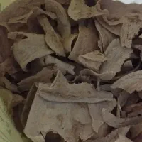 نان خشک تمیز بدون کپک