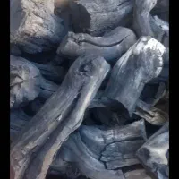 ذغال انگور