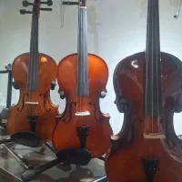 ویلن ویکتور و لوکتو
