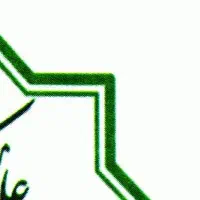 خانم حسابدار