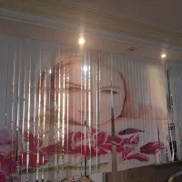 پرده شر شره ای یا ریسه ای.. زبرا