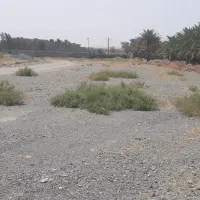 زمین مسکونی