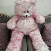 خرس یک متری
