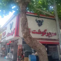 استخدام نیرو پروتیینی