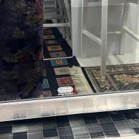 مایکروویو سرجیو