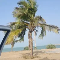 حمل و نقل