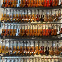 نمایندگی ویولن تی اف آماتی سایز یک تا چهار