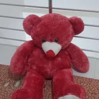 خرس|اسباببازی|تاکستان, |دیوار